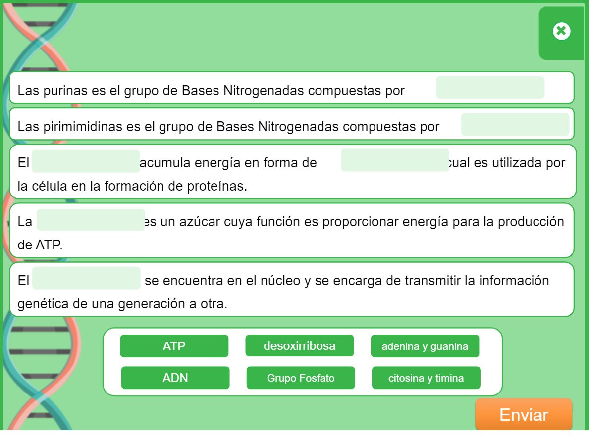 Actividad interactiva para completar frases sobre bases nitrogenadas, ADN y ATP arrastrando las respuestas correctas